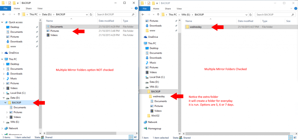 3. Daily Folder Option